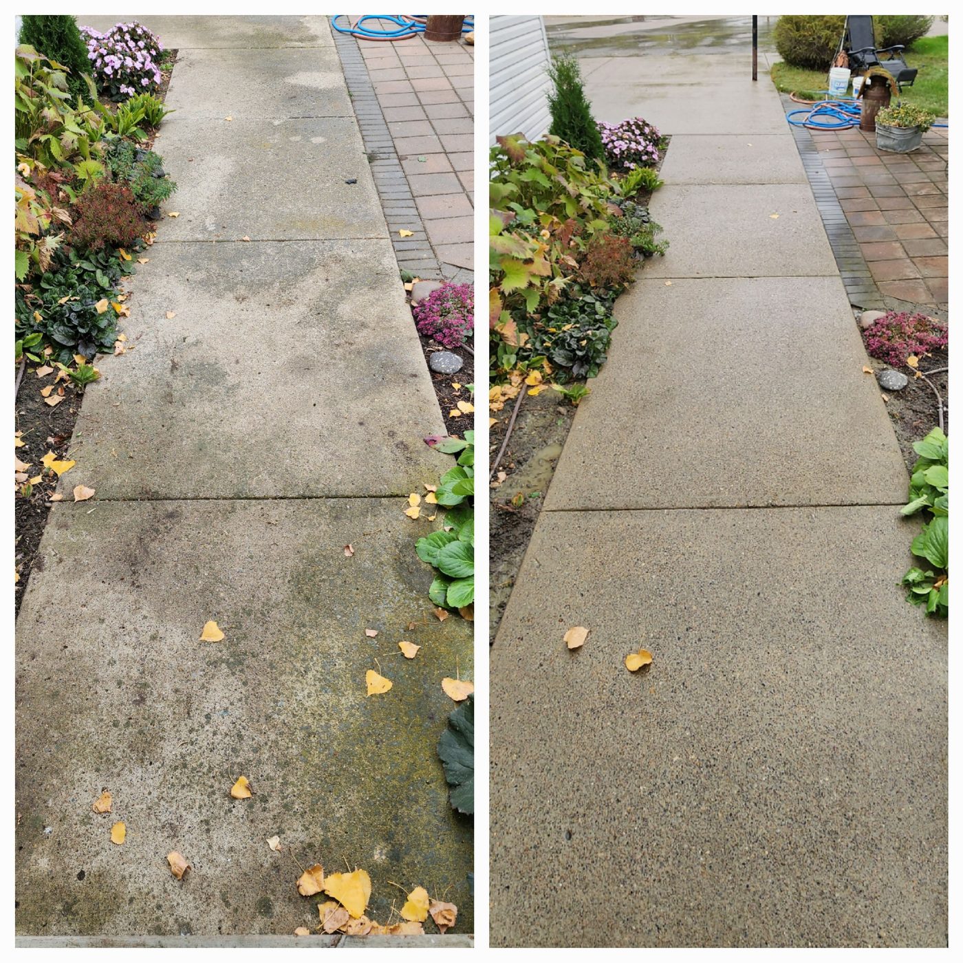 Sidewalk pressure washing – before and after